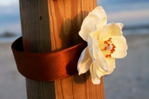 webassets/magnolia.jpg